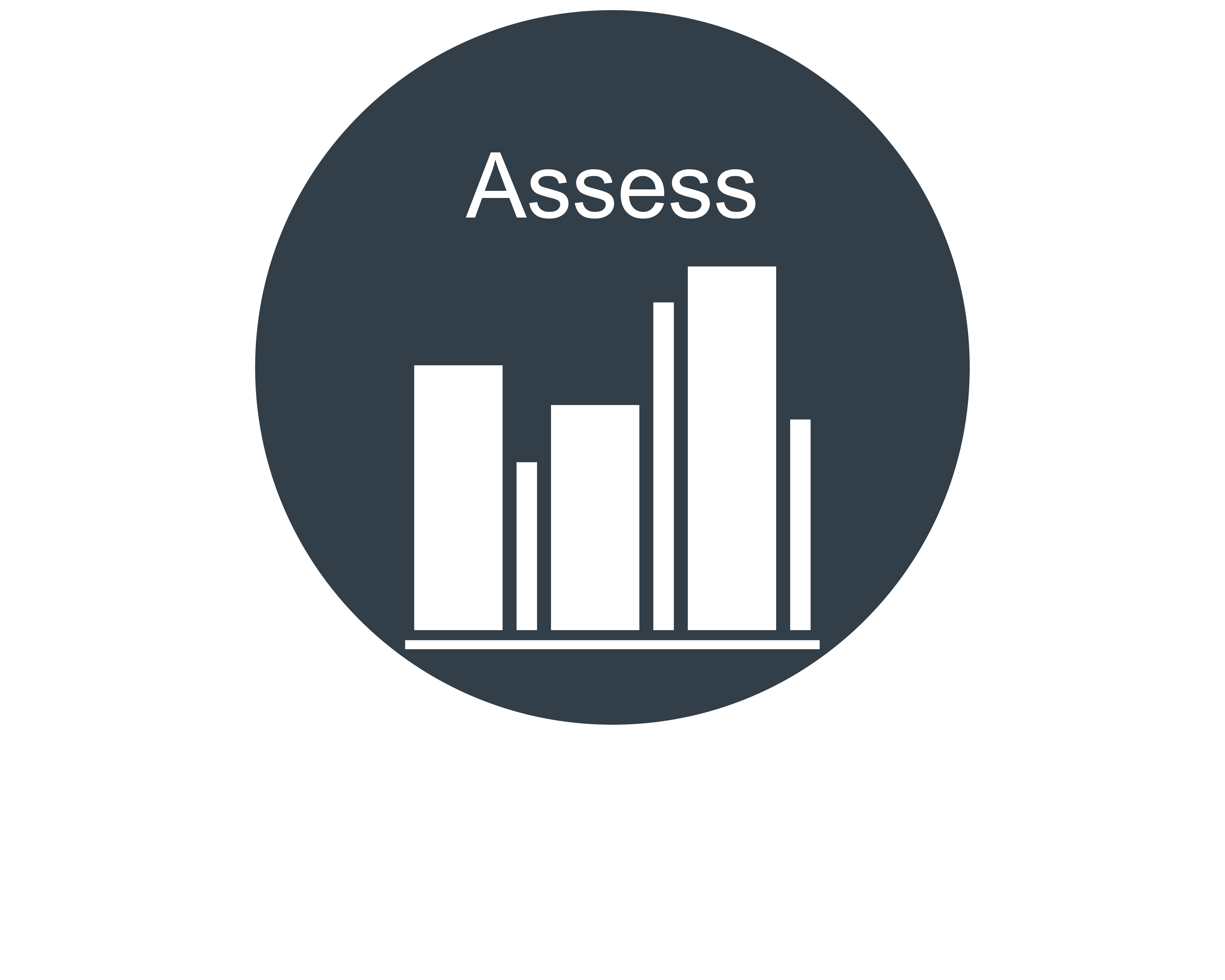 Assess icon