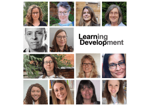 Learning Development