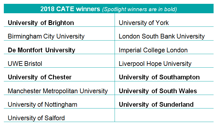 2018-cate-winners
