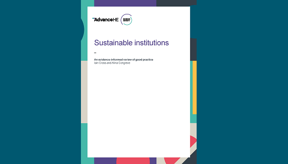 Front cover of Sustainable Institutions