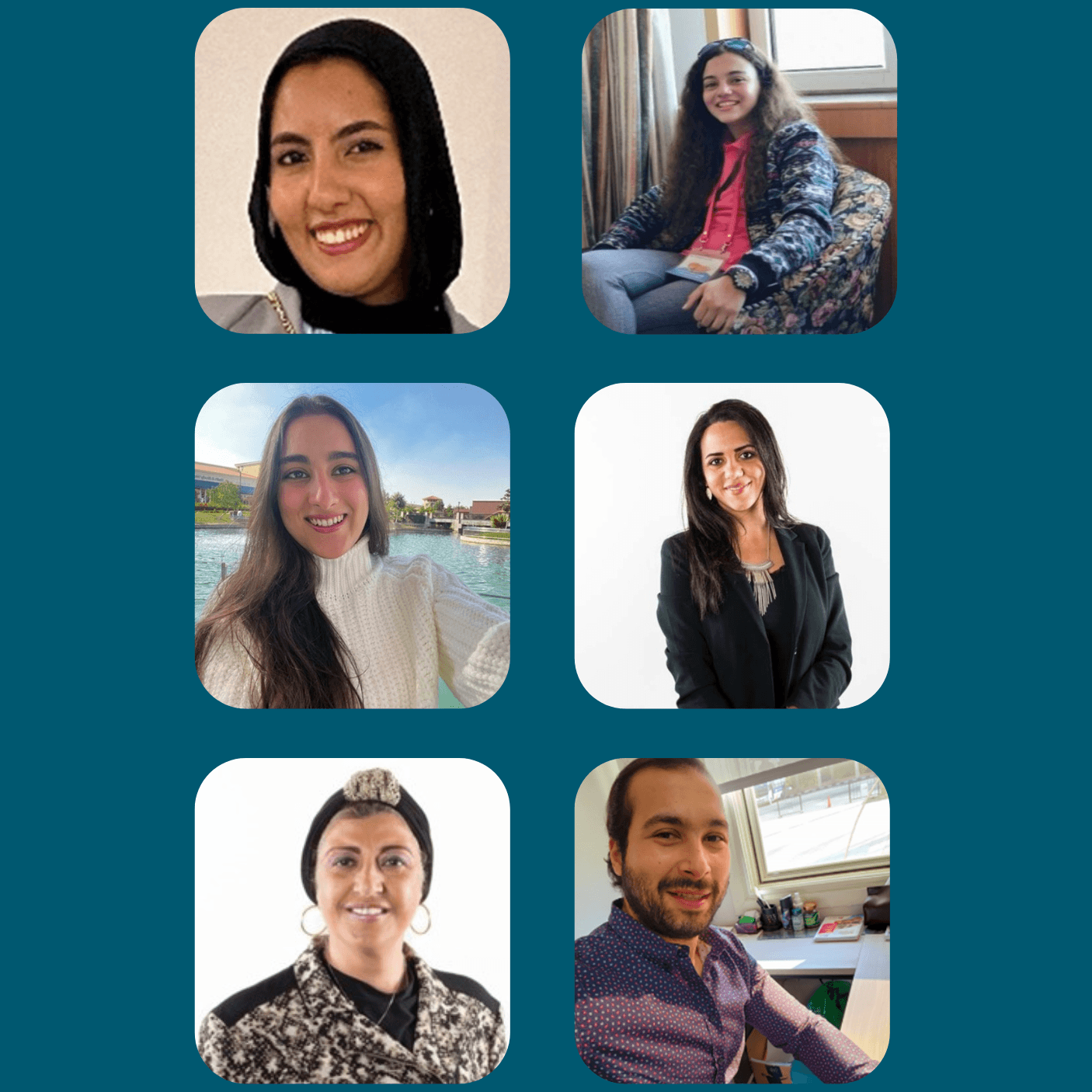 British University in Egypt case study participants