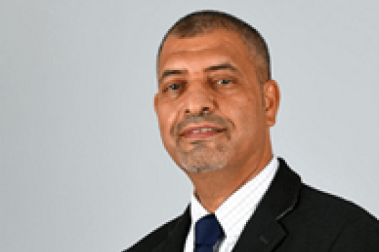 Hussein M Elmehdi